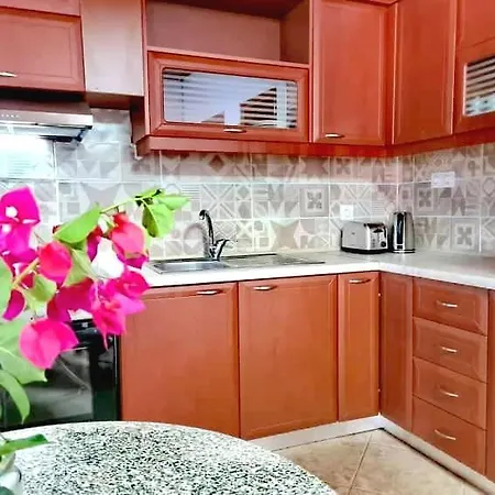 Apartment Irini Studios *