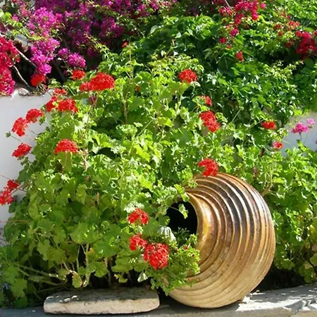 Irini Alykes (Zakynthos)