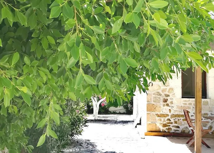 伊利尼一室公寓 阿里克斯